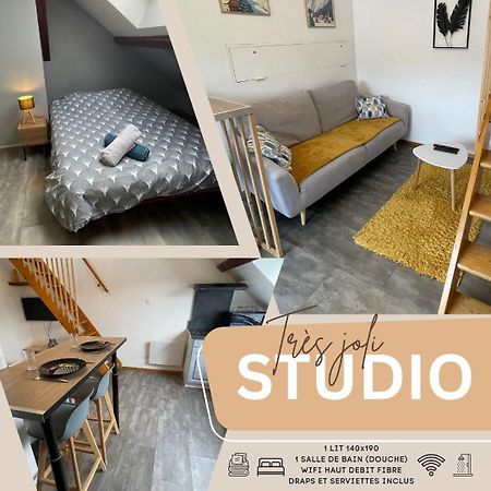 Superbe Studio A Proximite Du Centre-Ville Saint-Die-des-Vosges Экстерьер фото