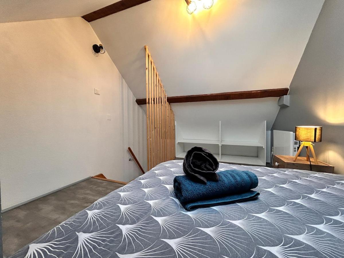 Superbe Studio A Proximite Du Centre-Ville Saint-Die-des-Vosges Экстерьер фото